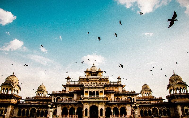 albert hall museum jaipur